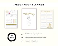 Alternative view of Pregnancy Planner | Digital Pregnancy Journal